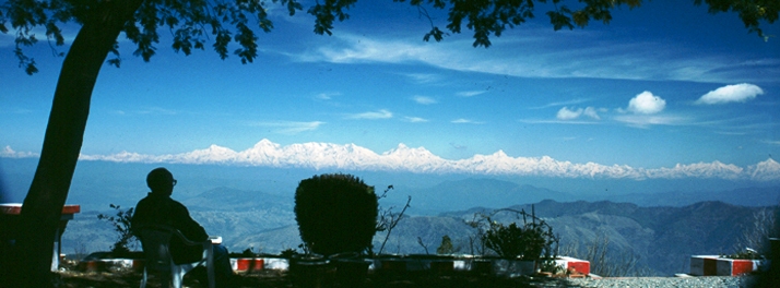 495/Mountain Trail Resort - Mukteshwar 11.jpg